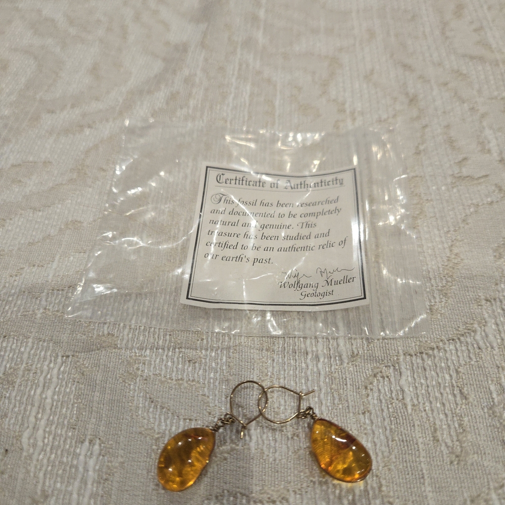 Amber Teardrop Earrings